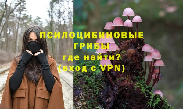 гидропоника Аркадак