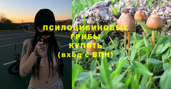 гидропоника Аркадак