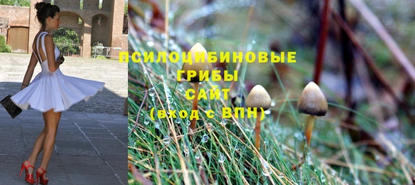 гидропоника Аркадак