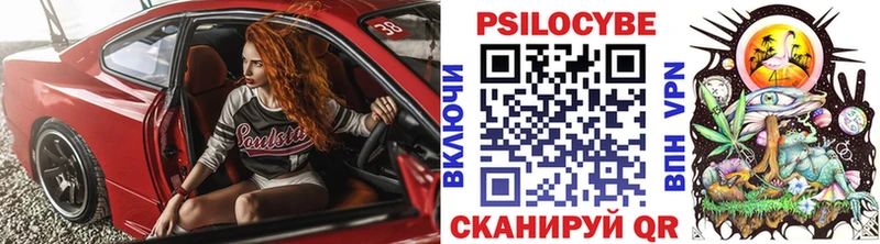 Галлюциногенные грибы Psilocybe  Брянск 