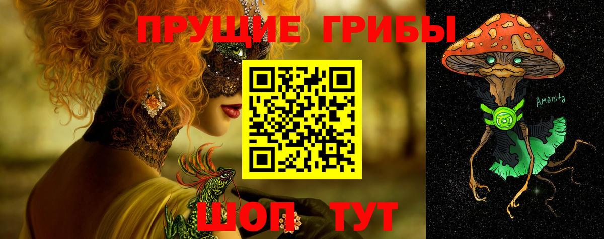 Псилоцибиновые грибы Magic Shrooms  Вход с VPN  Брянск  магазин    Псилоцибиновые грибы GOLDEN TEACHER 